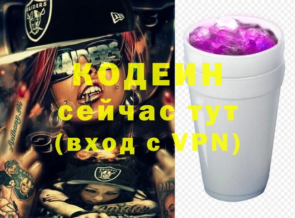 дживик Абаза
