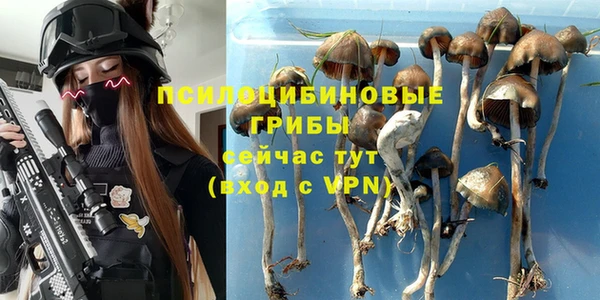 дурь Абинск