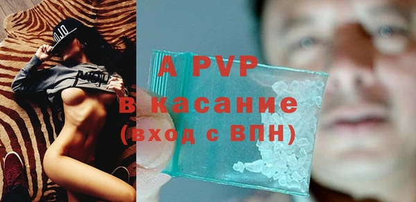 дживик Абаза