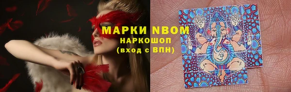 дживик Абаза