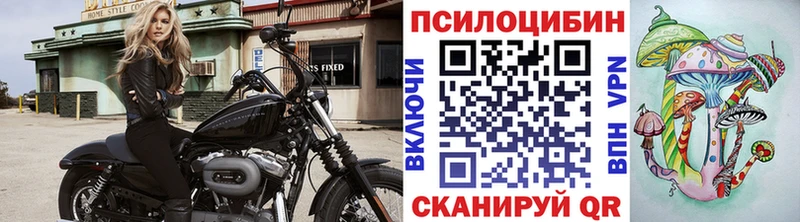 Псилоцибиновые грибы Psilocybe  Химки 