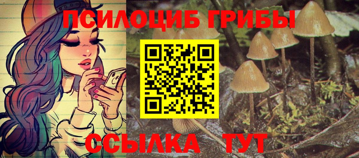 Галлюциногенные грибы прущие грибы  наркошоп  Химки  Псилоцибиновые грибы Cubensis  Вход с VPN 