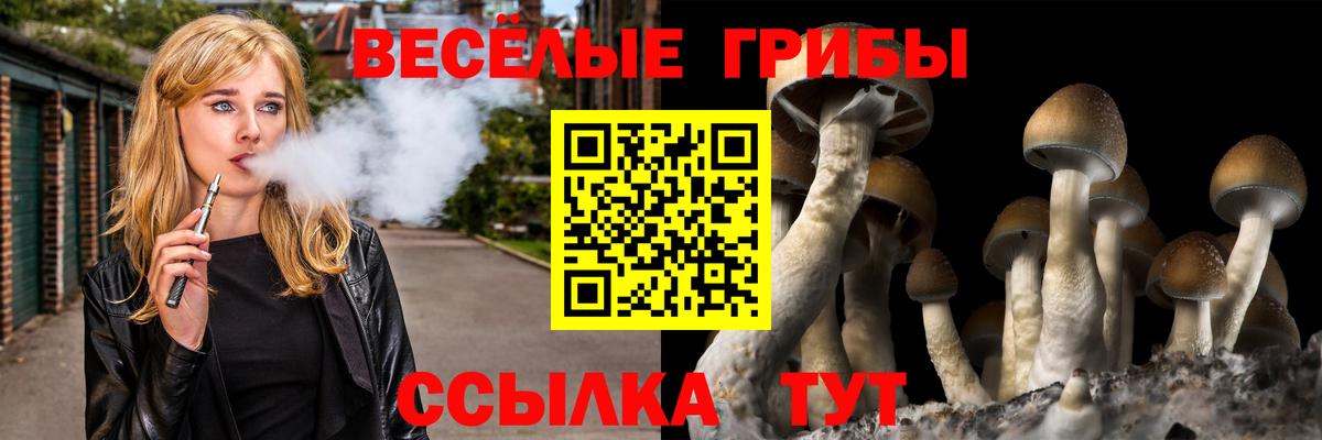 Псилоцибиновые грибы Cubensis Химки